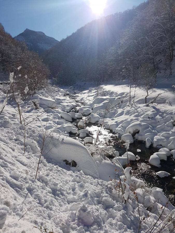 Chalets Mongioie Pra Di Roburent ซานจาโคโม ภายนอก รูปภาพ